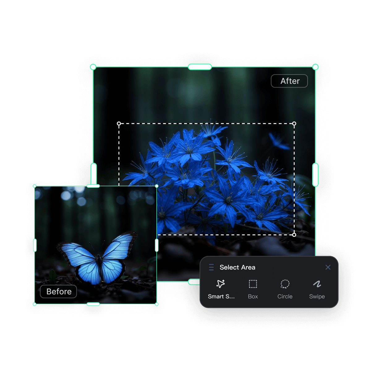 Intelligent Object Detection