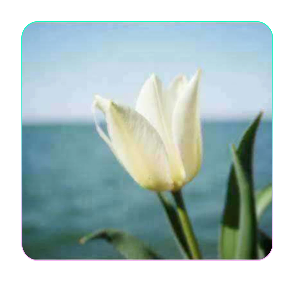 AI Technology for Optimal Image Enhancement