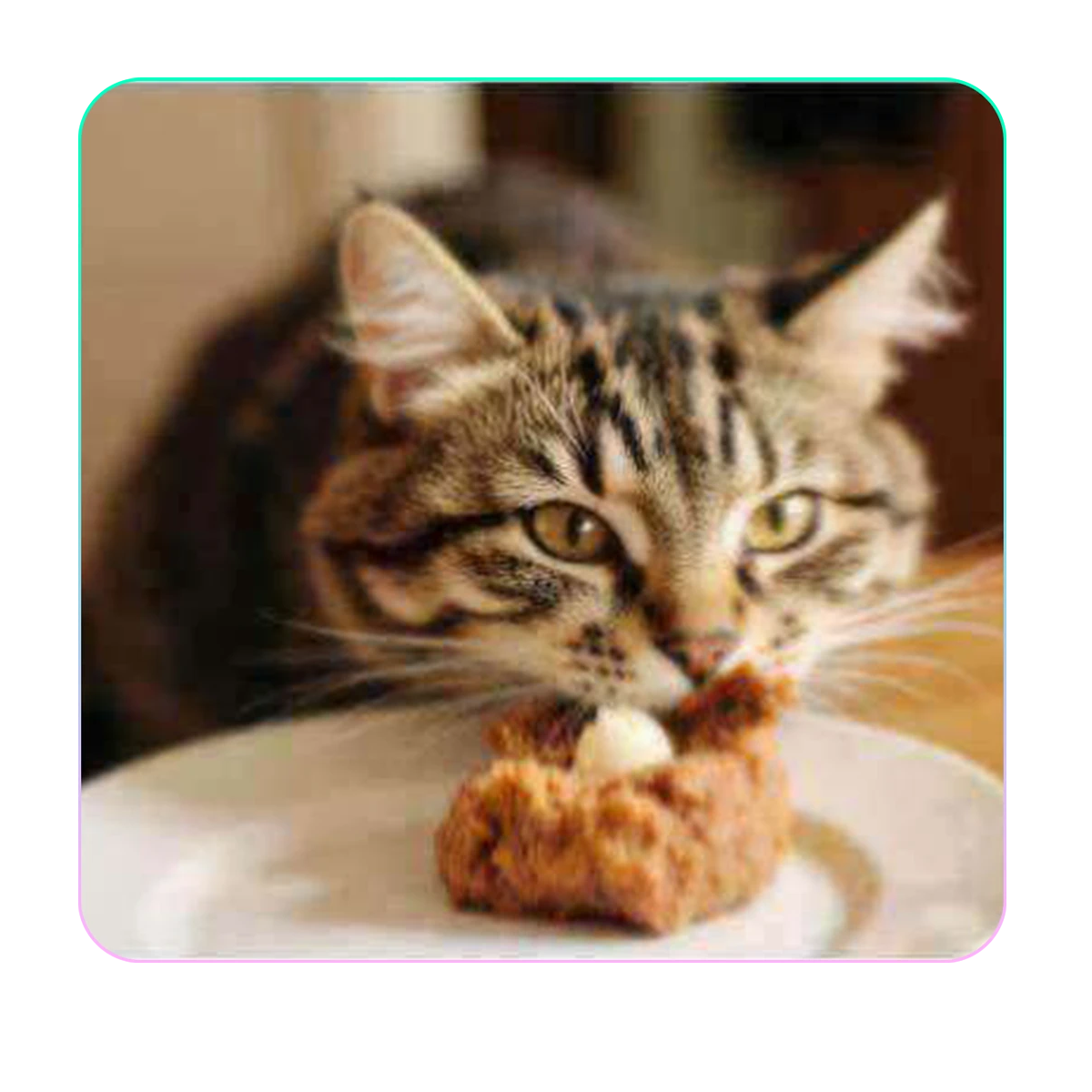  Versatile Applications