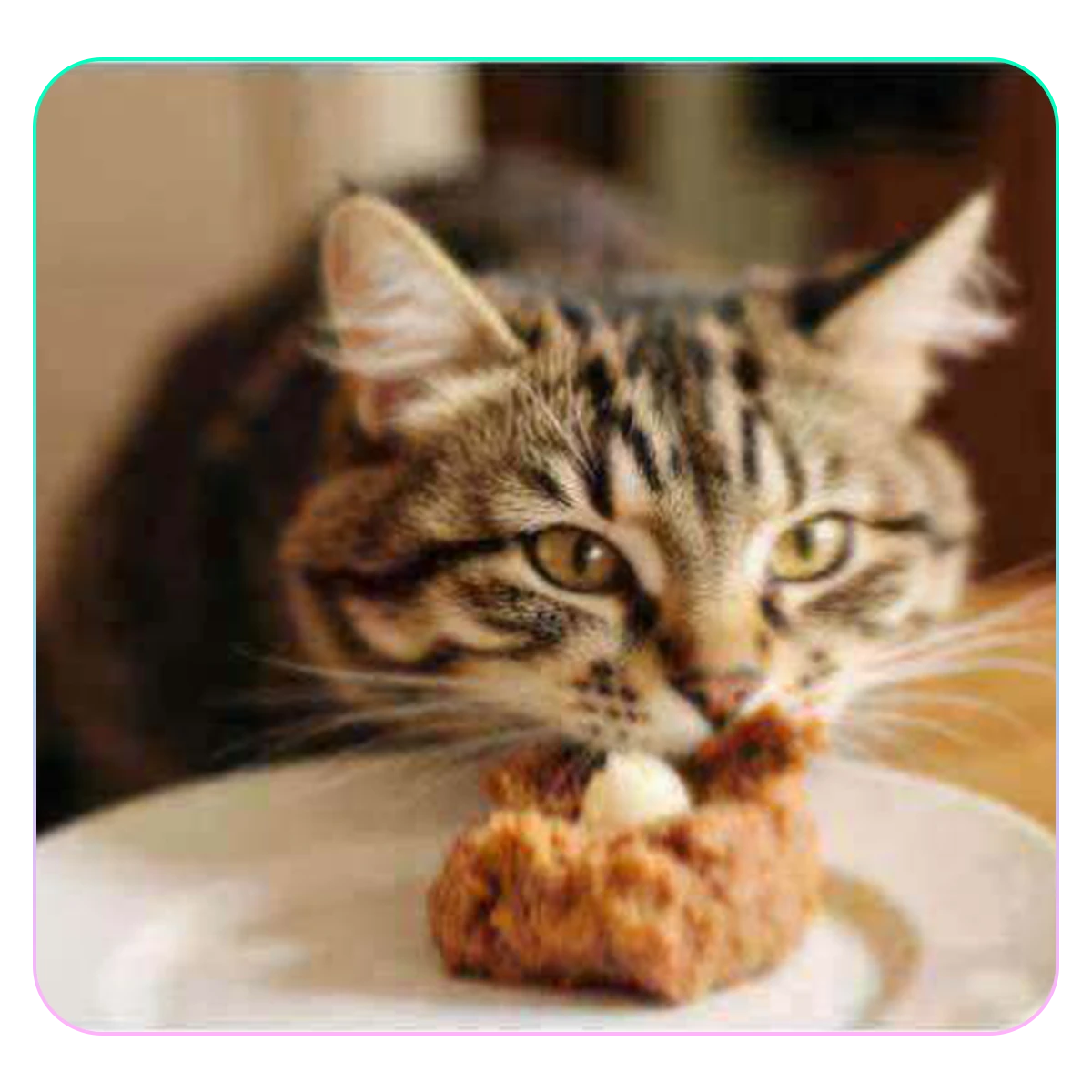 Ideal for Creatives and Professionals